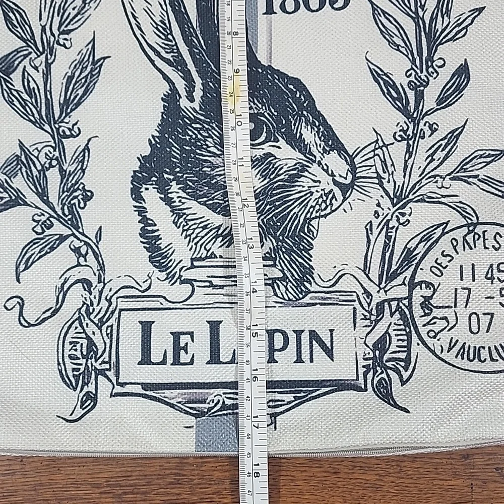 Set Of Two Black & Cream Rabbit Print Throw Pillows Parisian Text Linen Like